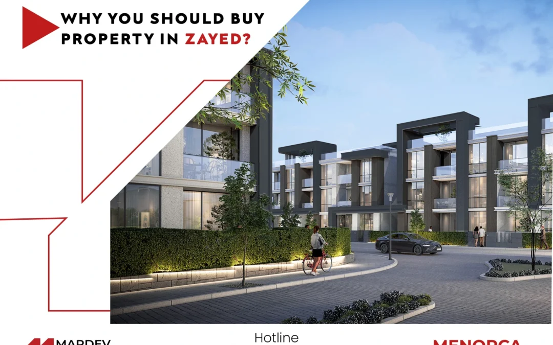 Why You Should Buy Property in Sheikh Zayed?